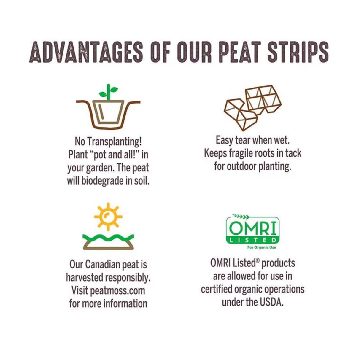 Jiffy 10 Cells 4 in. H x 10 in. W x 4 in. L Seed Starting Peat Pot 5 Pack