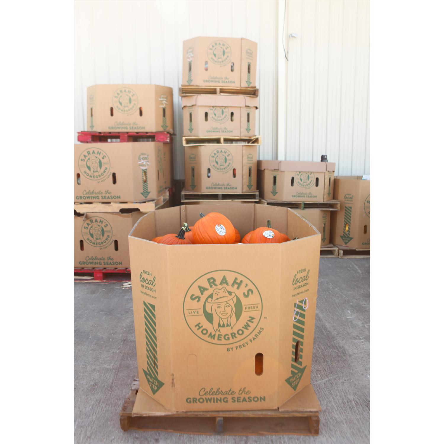 Frey Farms Sarah's Home Grown Orange Pumpkin