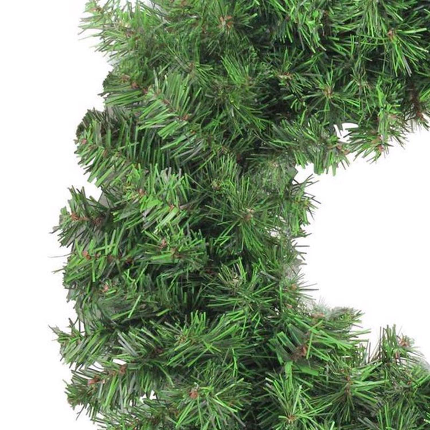 Holiday Bright Lights 24 in. D X 2 ft. L Douglas Wreath
