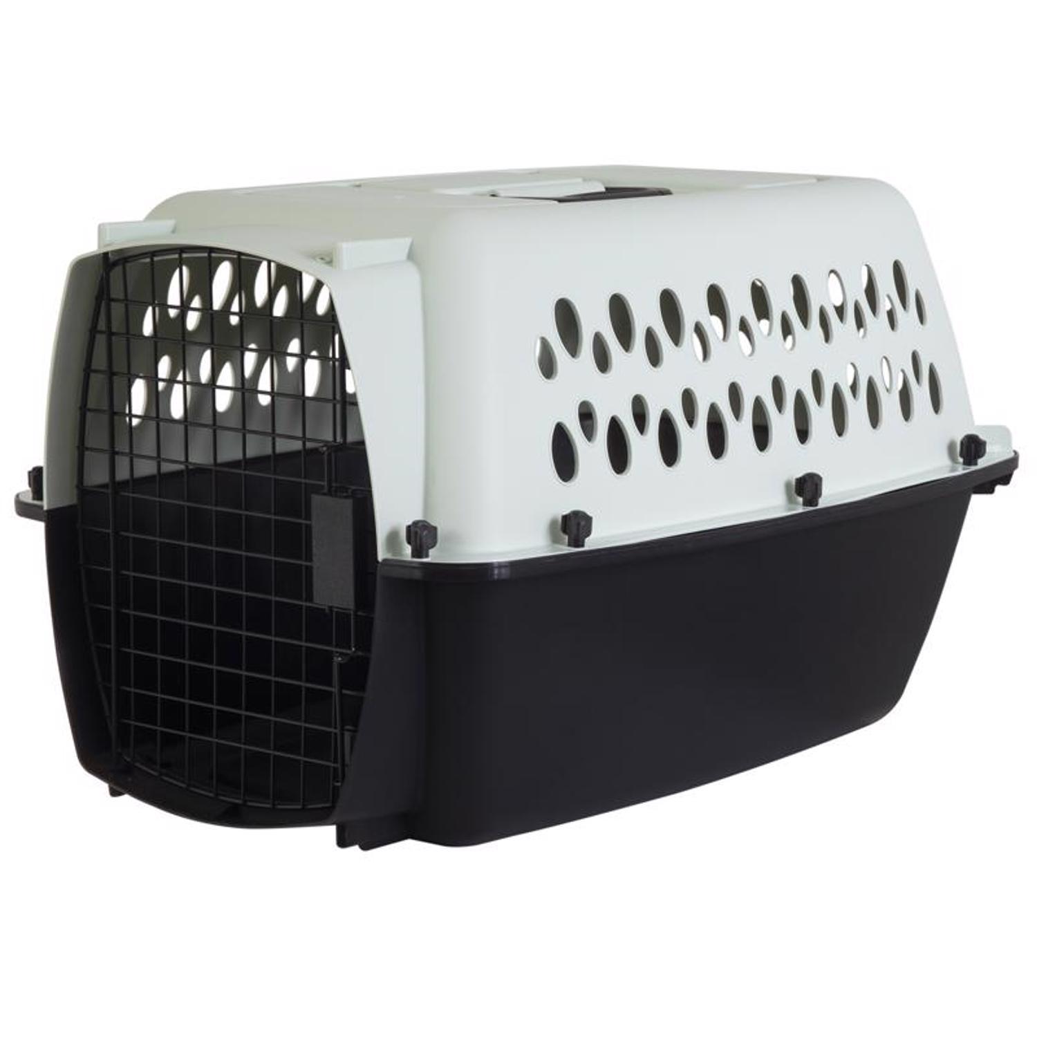 Aspen Pet Pet Porter Medium Plastic Pet Kennel Black/Gray 14.5 in. H X 16.7 in. W X 24 in. D