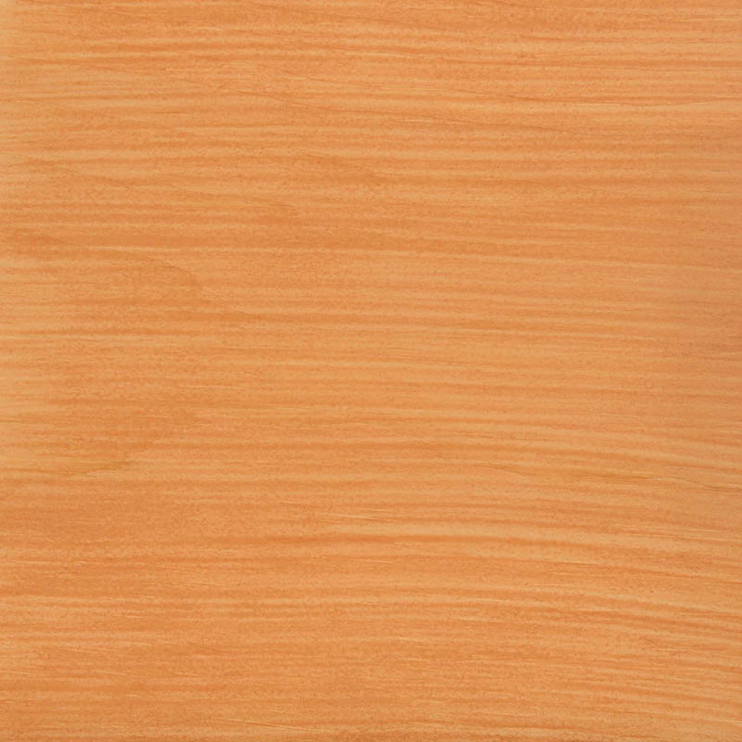 Thompson's WaterSeal Transparent Natural Cedar Water-Based Acrylic/Alkyd/Urethane Waterproofing Wood