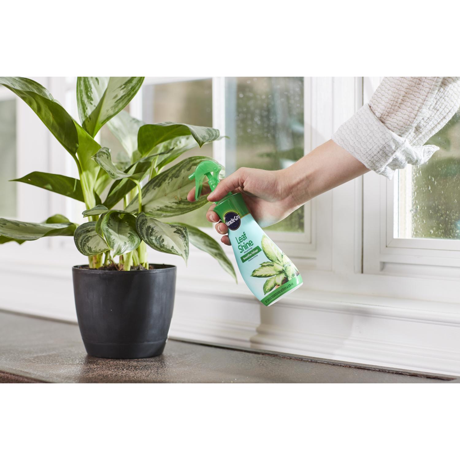 Miracle-Gro Liquid Plant Shine 8 oz