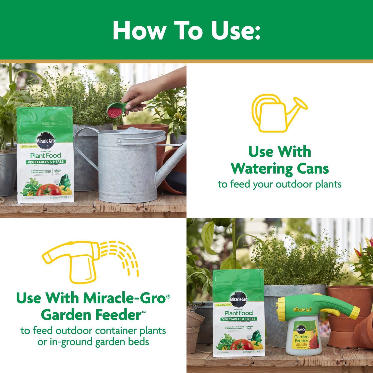 Miracle-Gro Granules Plant Food 2 lb