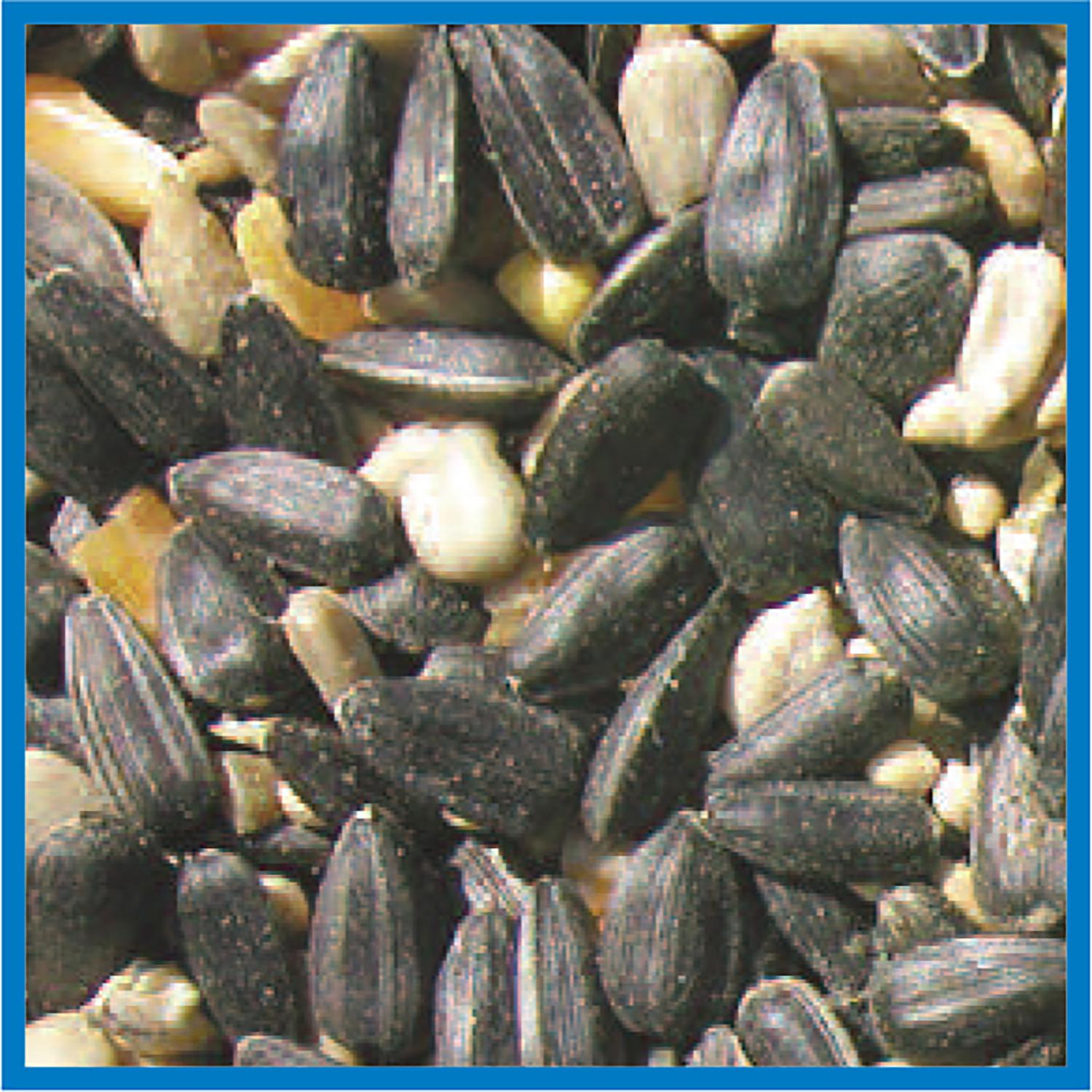 Cole's Blue Ribbon Blend Wild Bird Food 5 lb