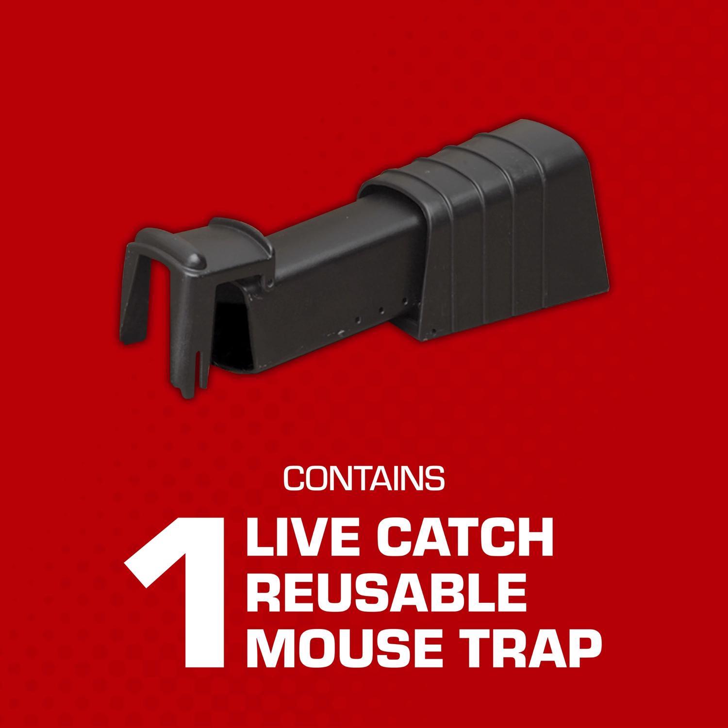 Tomcat Small Live Catch Trap For Mice 1 pk