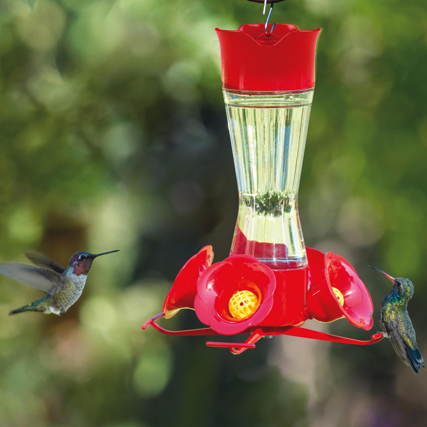 Perky-Pet Hummingbird 8 oz Glass/Plastic Pinch-Waist Nectar Bird Feeder 4 ports