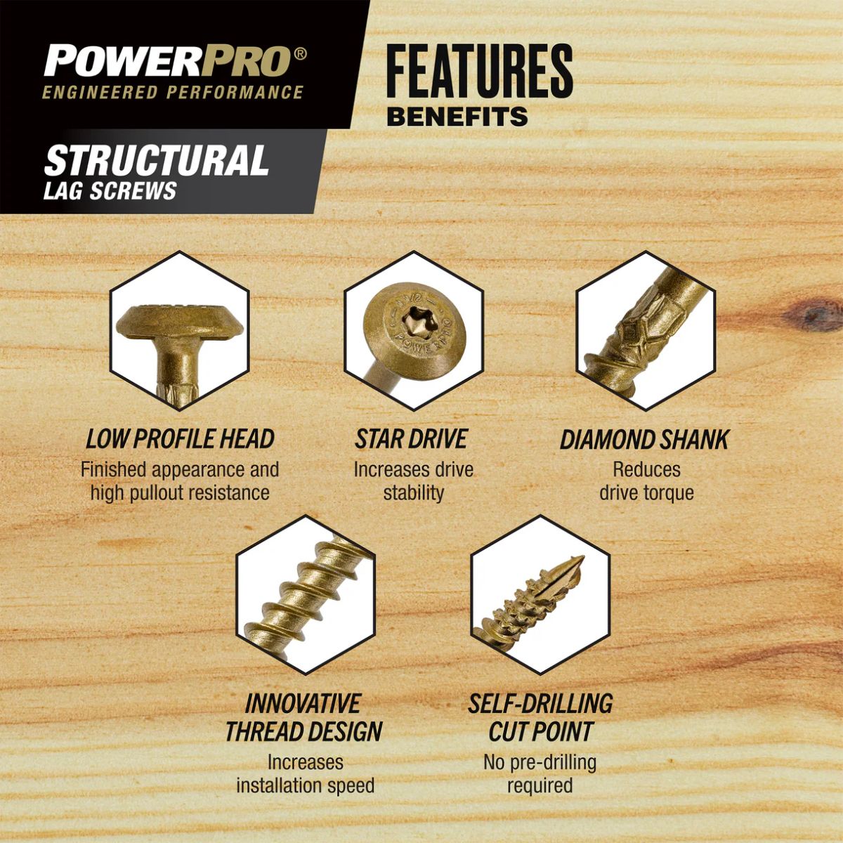 Power Pro Structural Lag Screws 5/16 in.