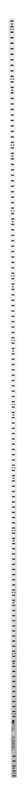 Knape & Vogt White Steel Heavy Duty Shelf Bracket 23 Ga. 72 in. L 250 lb