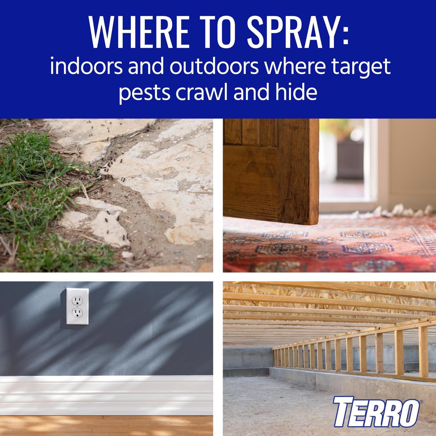 TERRO Spider Killer Aerosol 16 oz