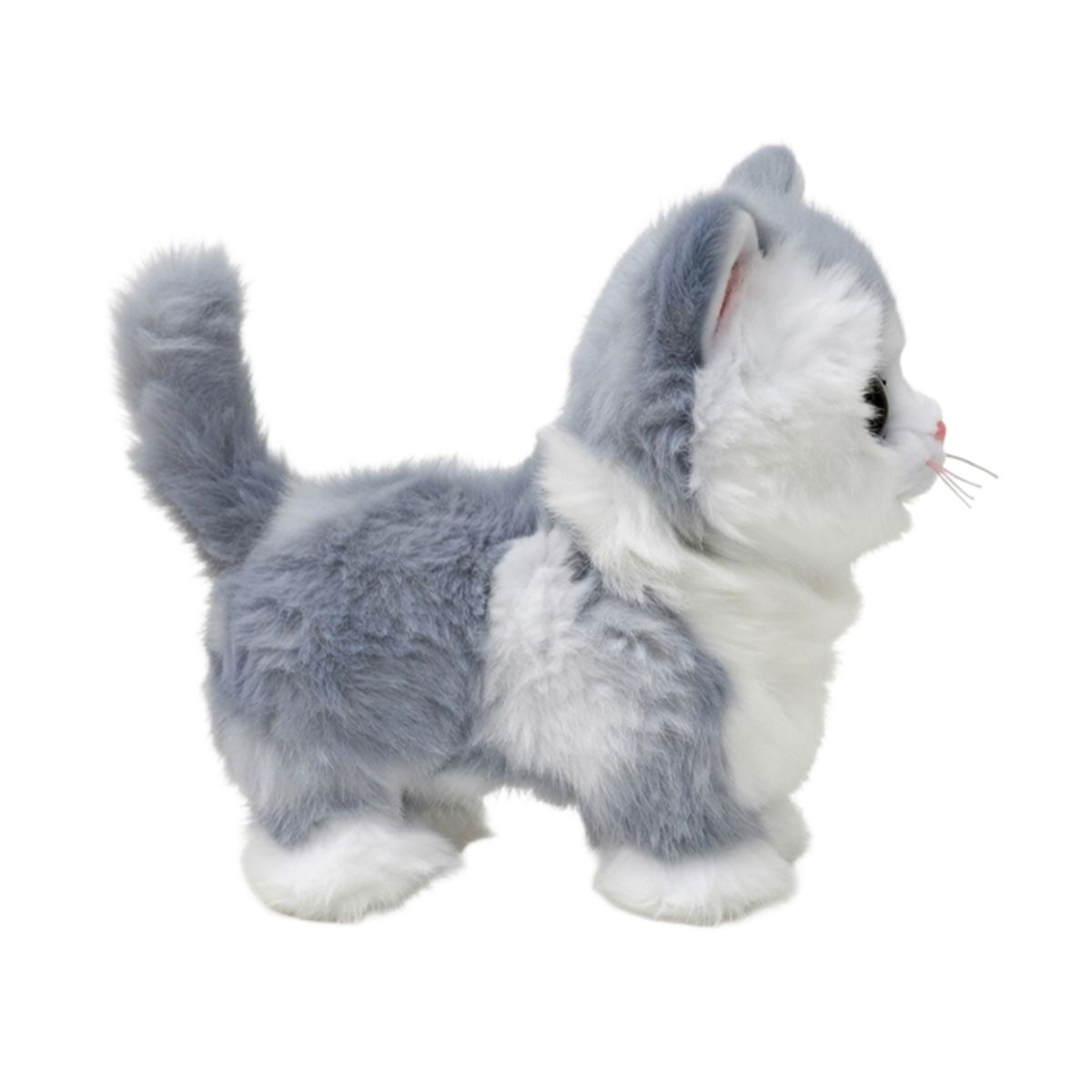 Ty Furley Gray Cat Reg