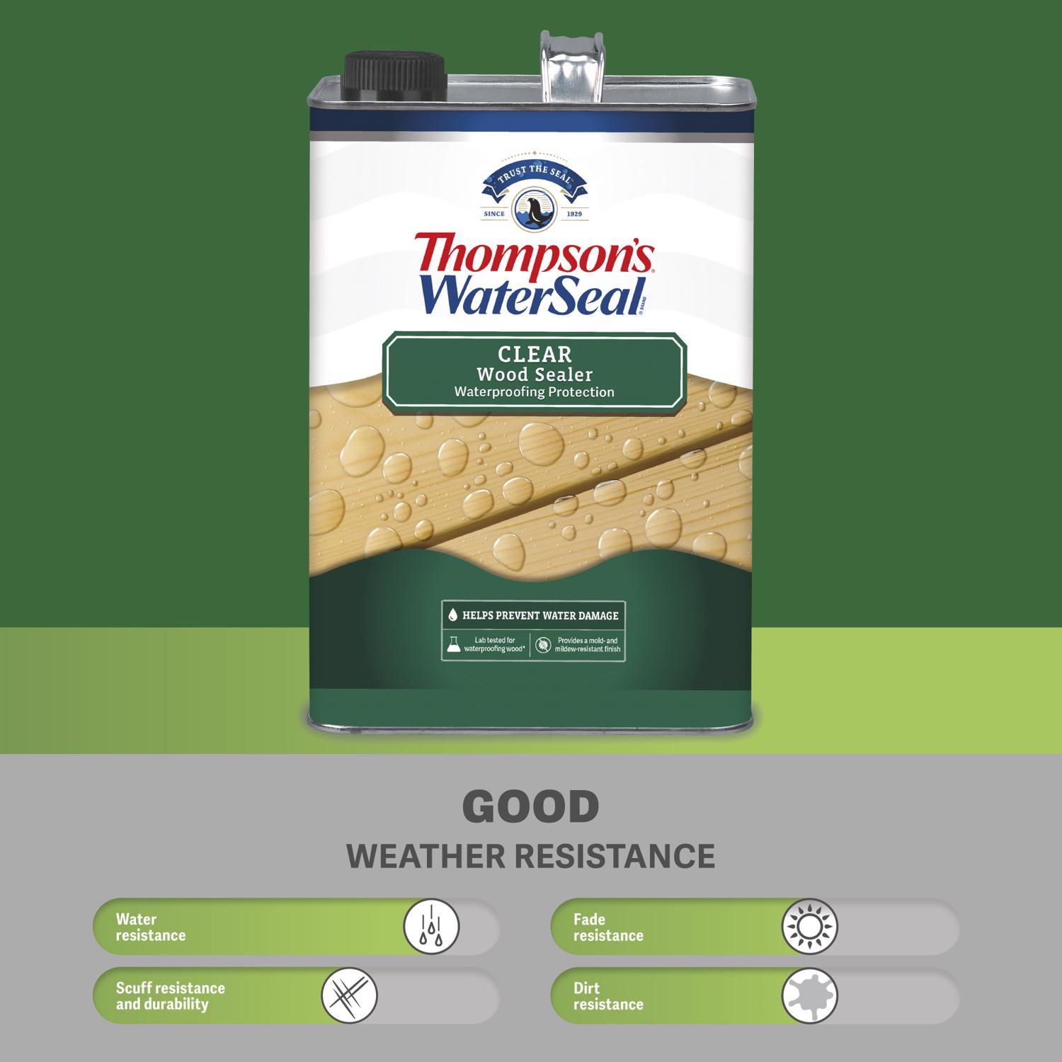 Thompson's WaterSeal Clear Wood Sealer Clear Fully-Transparent Oil-Based Wood Sealant 1.2 gal