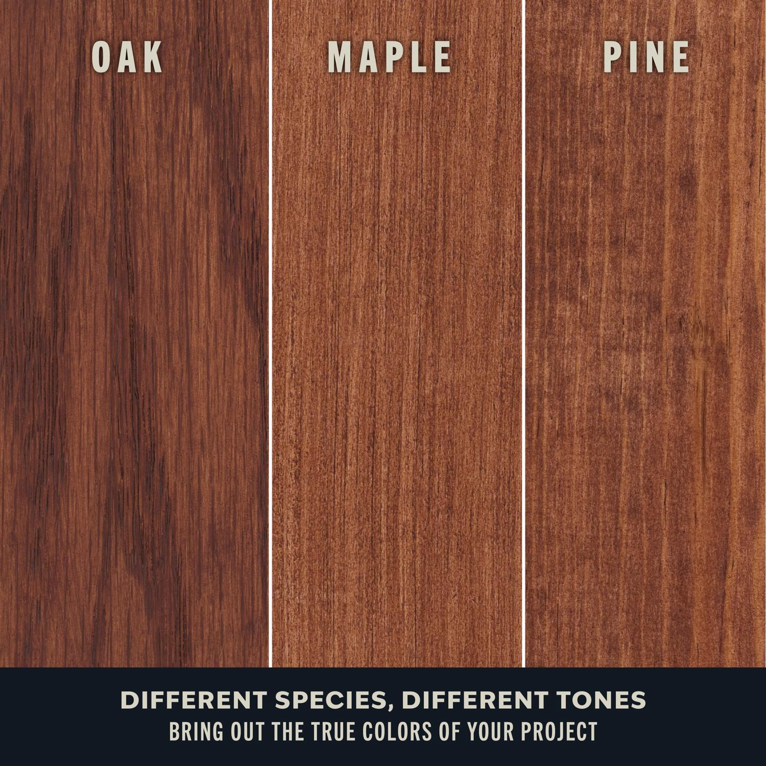 Varathane Premium Gunstock Oil-Based Fast Dry Wood Stain 1/2 pt