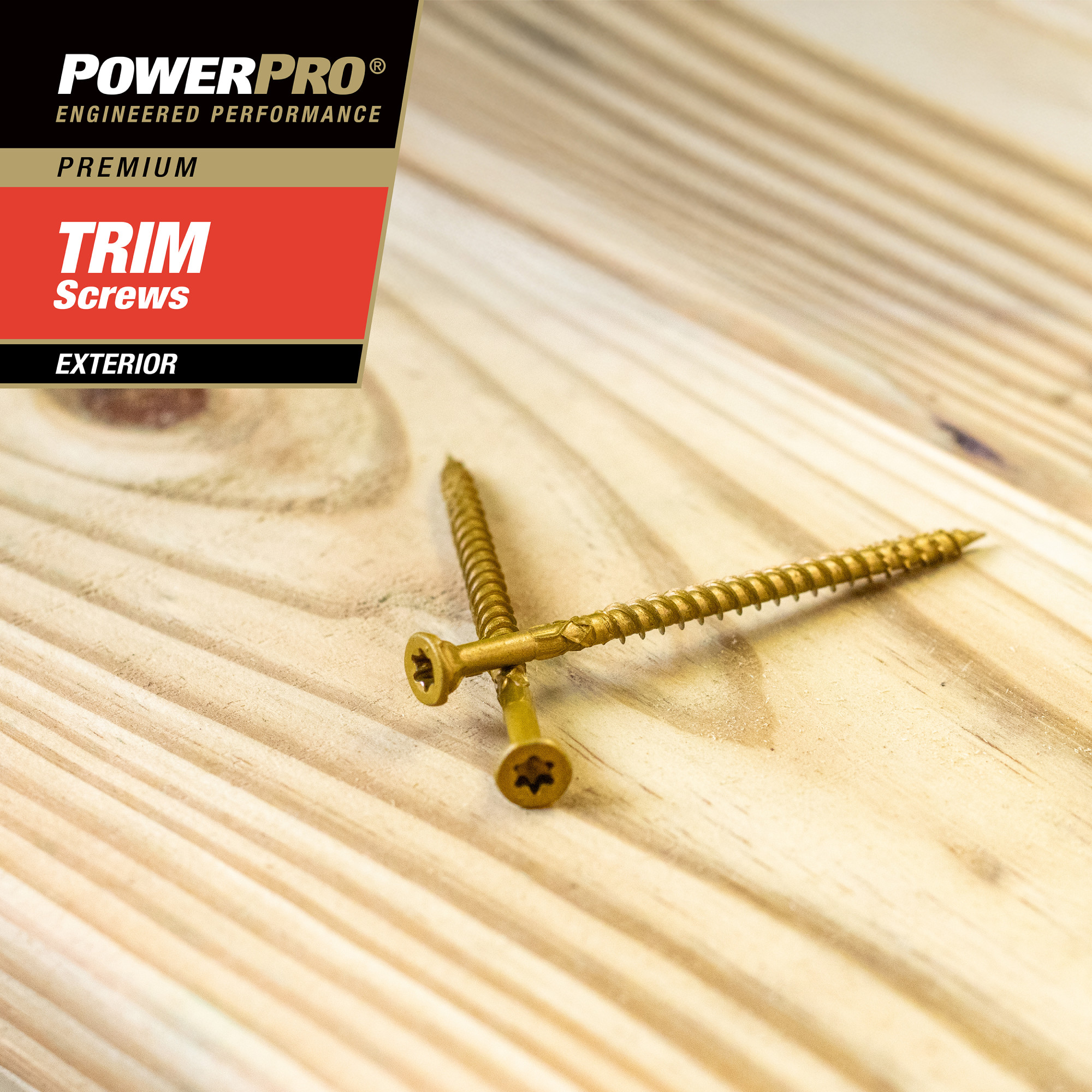Power Pro Premium Bronze Exterior Trim Screws (#8 x 3 in.) - 494 pc