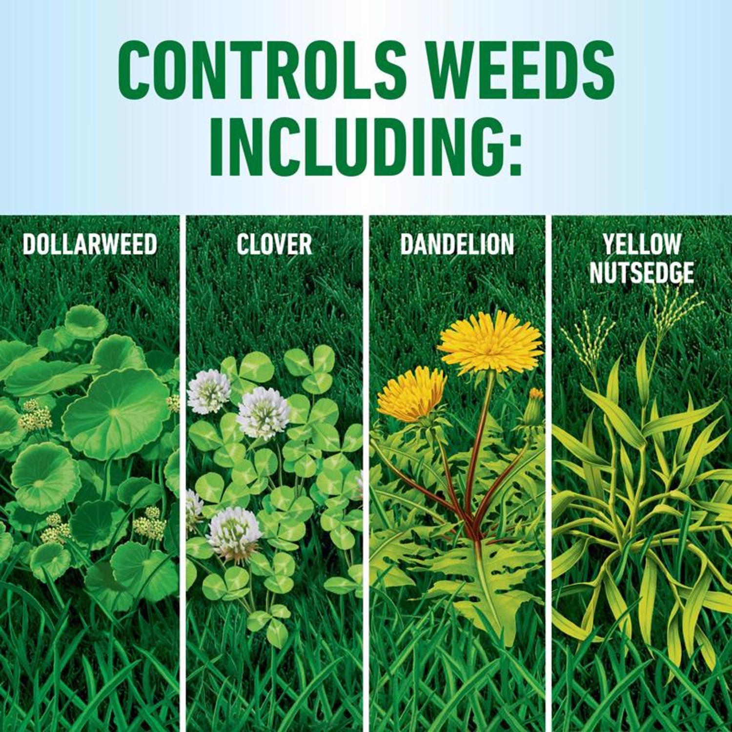 Roundup Weed Killer RTU Liquid 1 gal