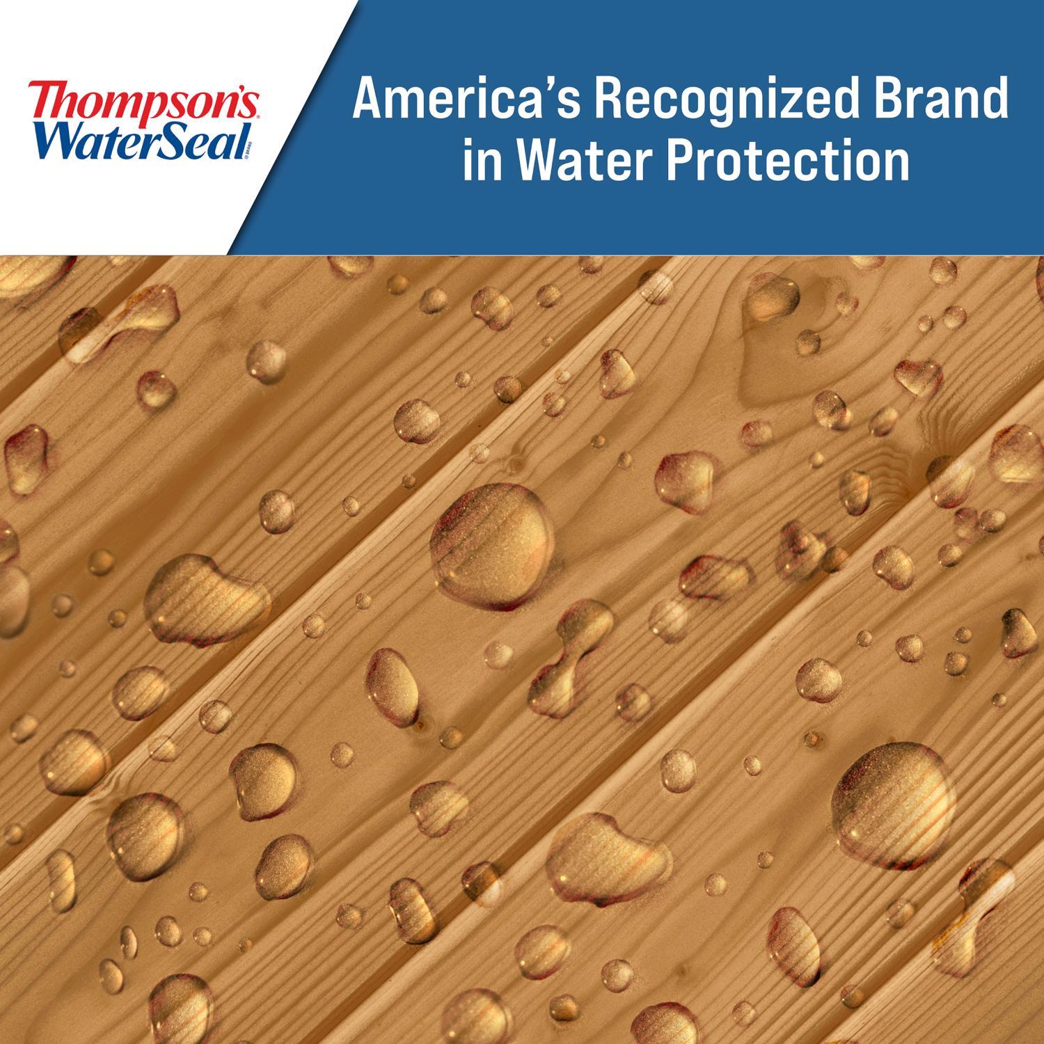 Thompson's WaterSeal Transparent Natural Cedar Water-Based Acrylic/Alkyd/Urethane Waterproofing Wood