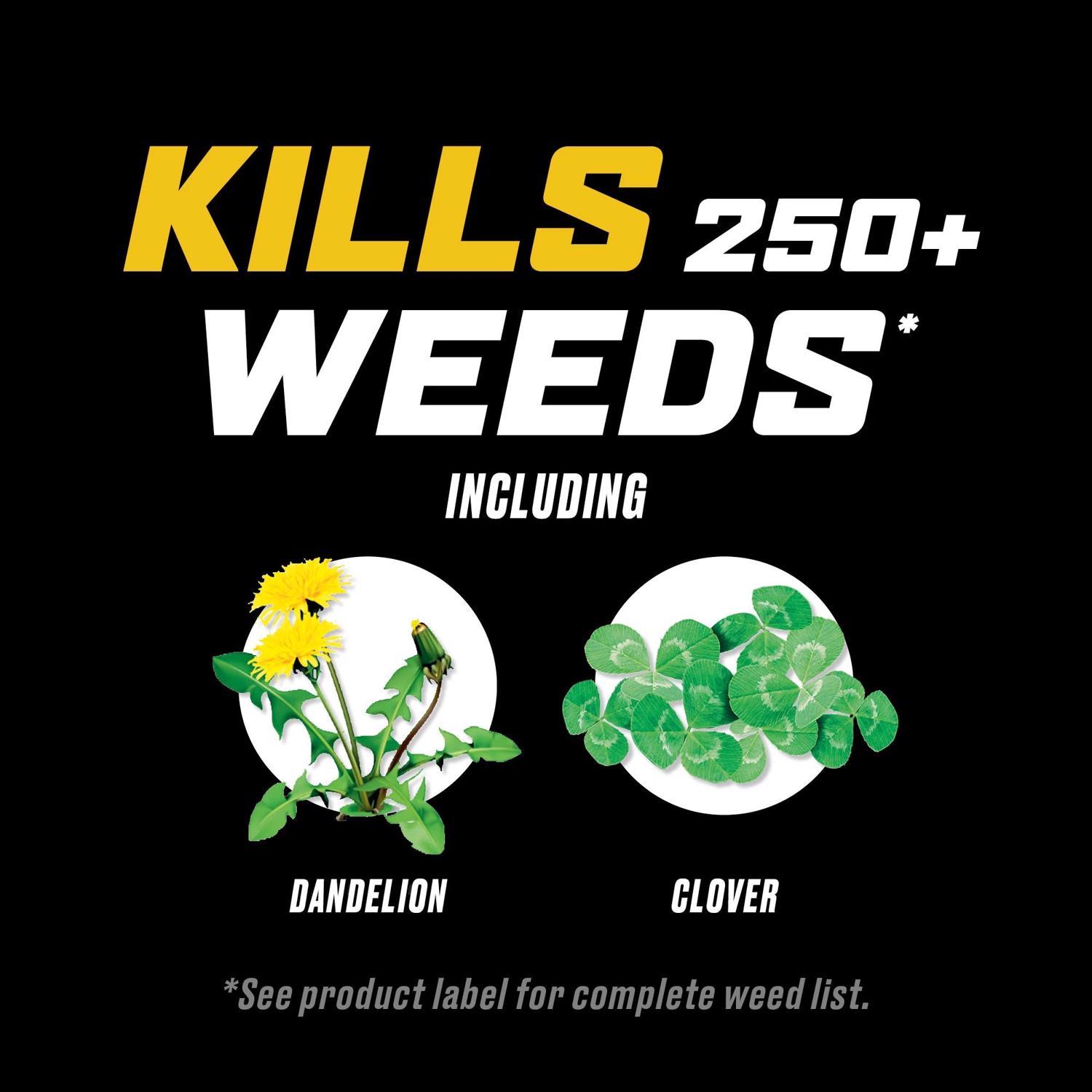 Ortho WeedClear Weed Killer Concentrate 32 oz