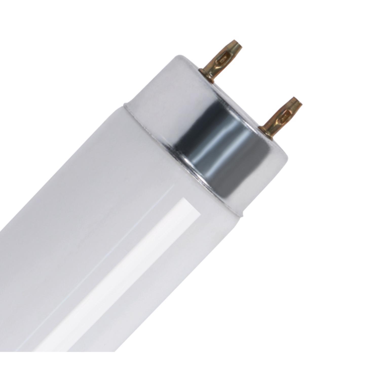 Feit Legacy Bulbs 15 W T8 1.1 in. D X 17.7 in. L Fluorescent Bulb Cool White Linear 4100 K 1 pk