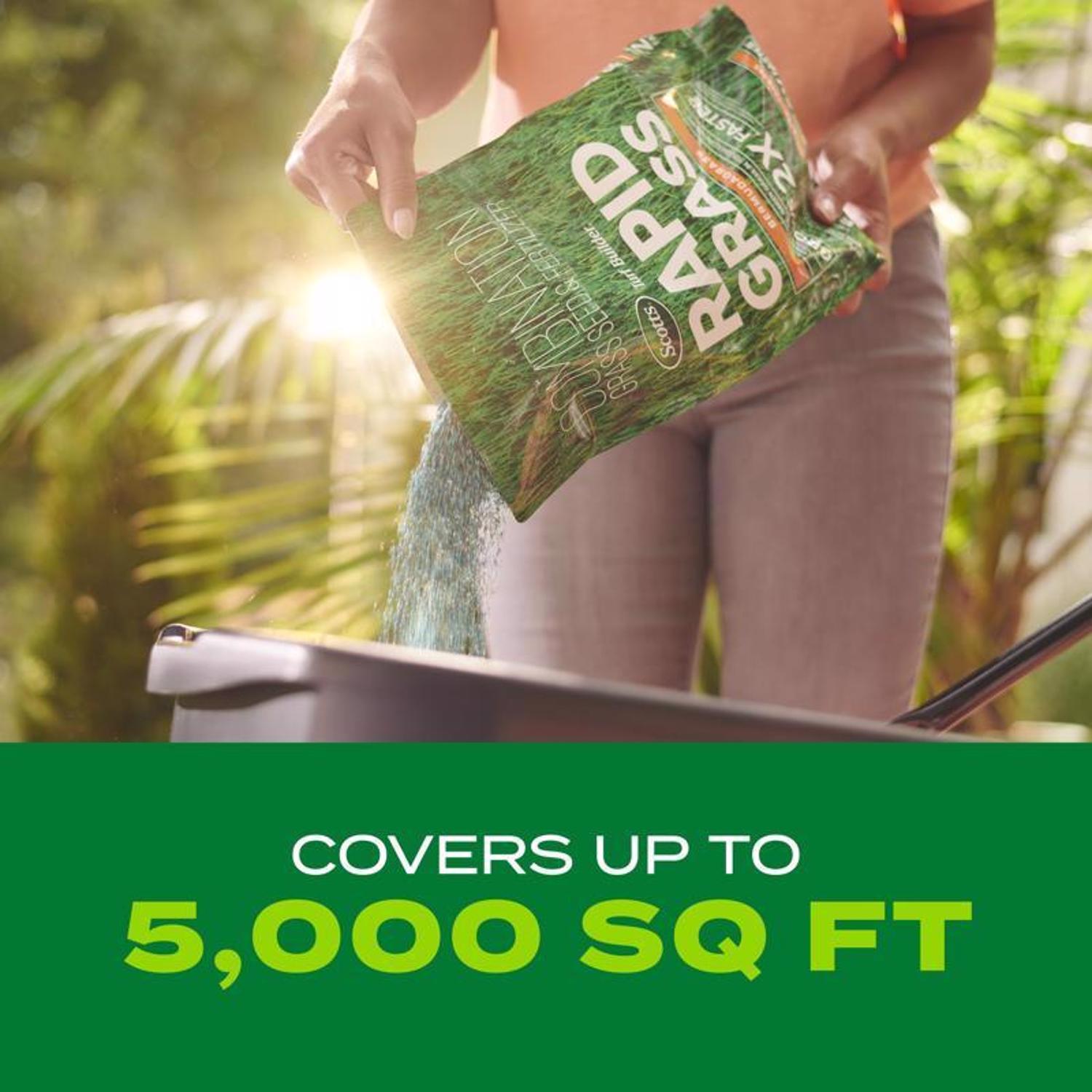 Scotts Turf Builder Rapid Grass Bermuda Grass Full Sun Grass Seed and Fertilizer 4 lb