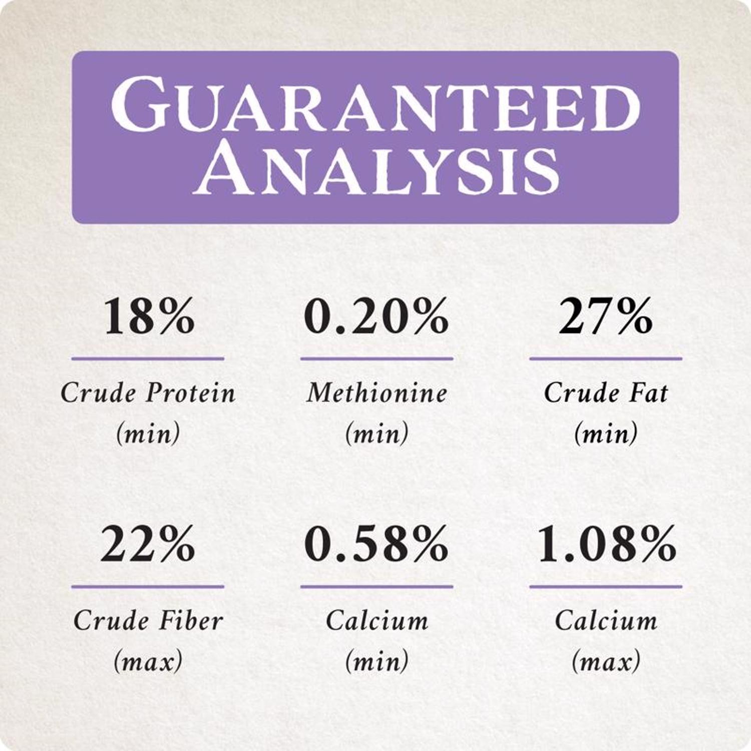 Songbird Selections Wild Finch Feast with Nyjer Wild Bird Seed Wild Bird Food 10 lb