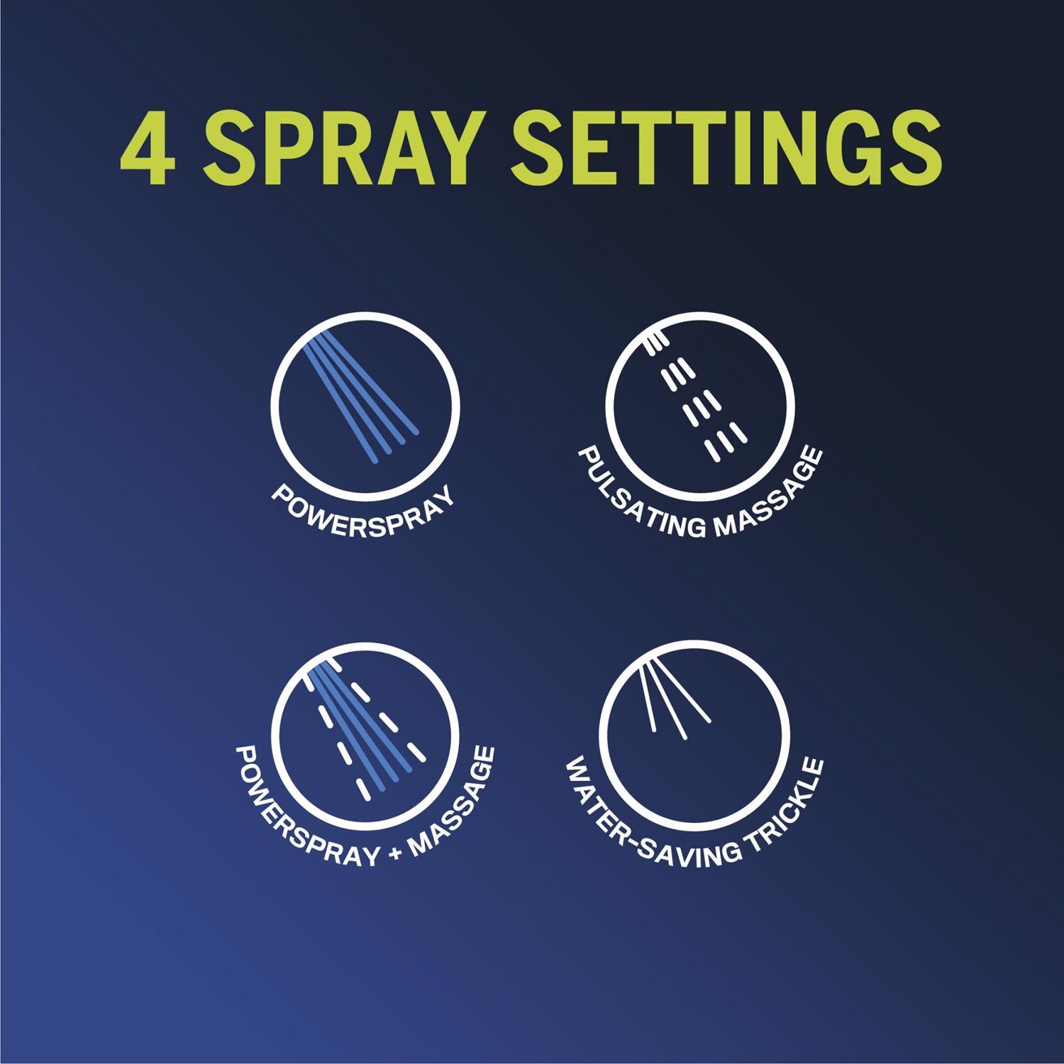 Waterpik EcoFlow Chrome 4 settings Handheld Showerhead 1.6 gpm