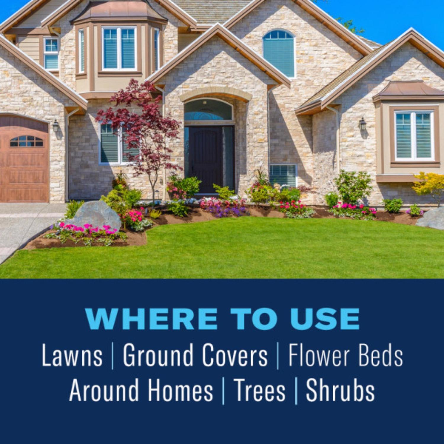 BioAdvanced Complete Insect Killer for Soil & Turf Granules 10 lb