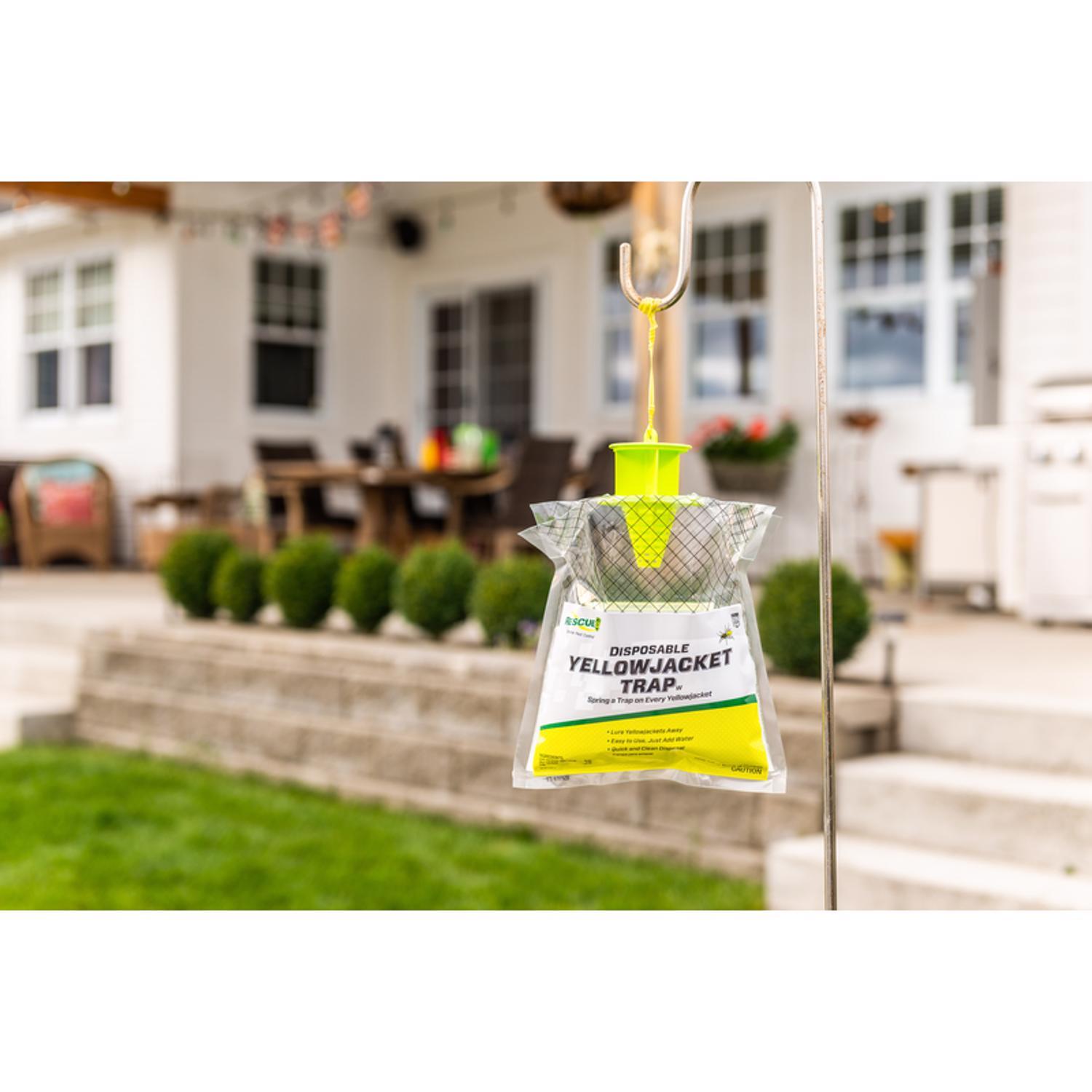 RESCUE Yellow Jacket Trap 1 pk