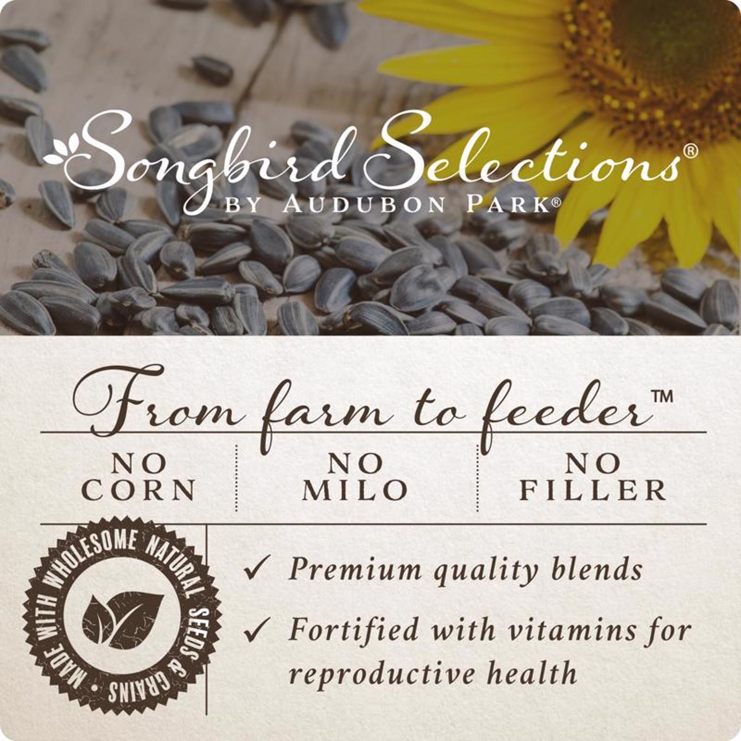 Songbird Selections Premium Protein with Mealworm Wild Bird Seed Wild Bird Food 10 lb