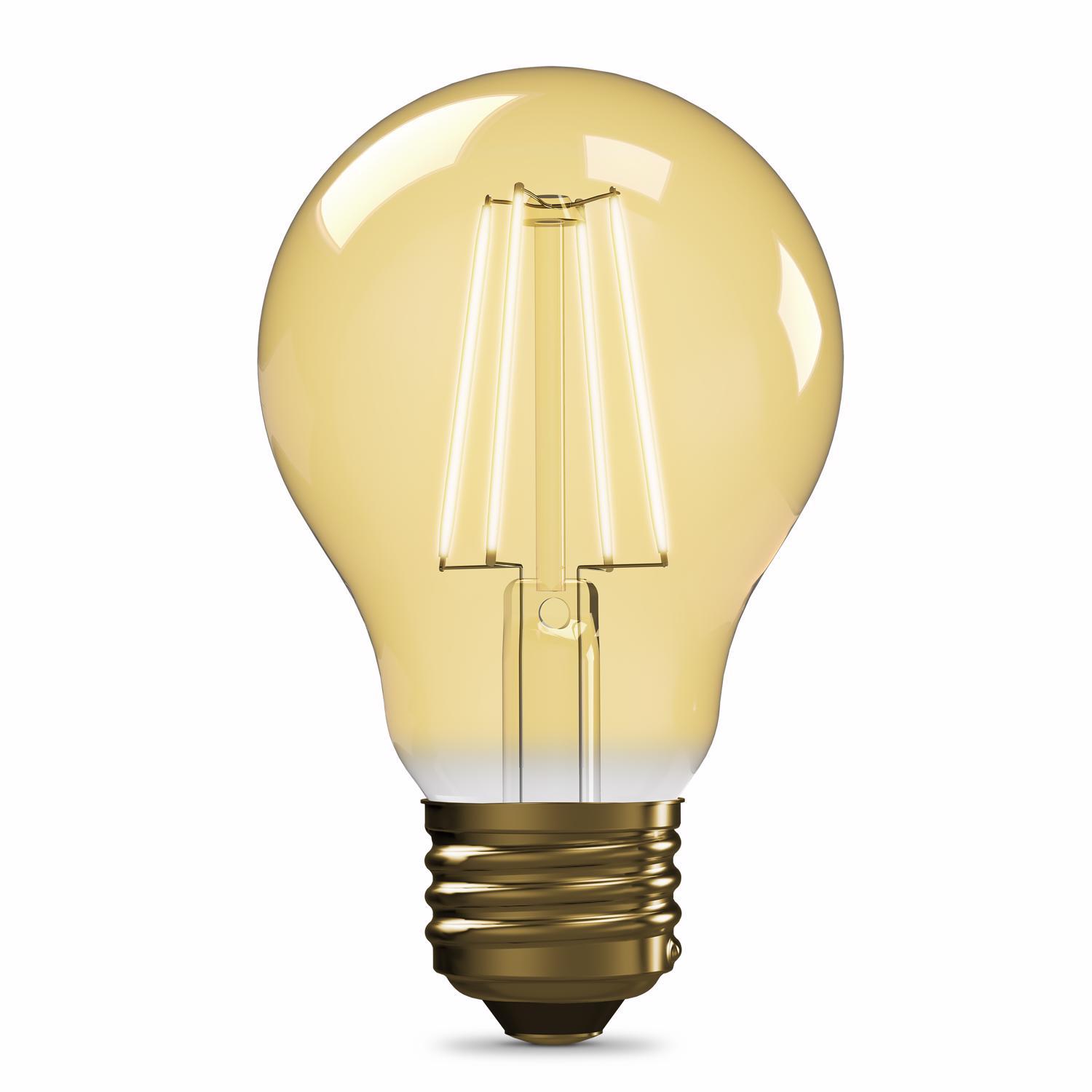 Feit A19 E26 (Medium) LED Bulb Amber Soft White 60 Watt Equivalence 1 pk