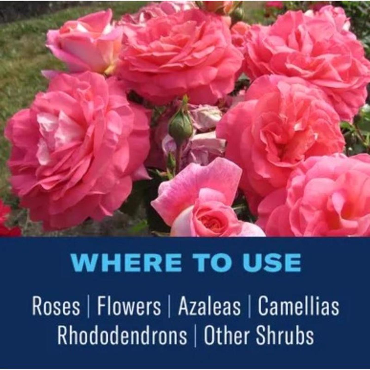 BioAdvanced Rose & Flower Care Granules Rose & Flower Plant Food 4 lb