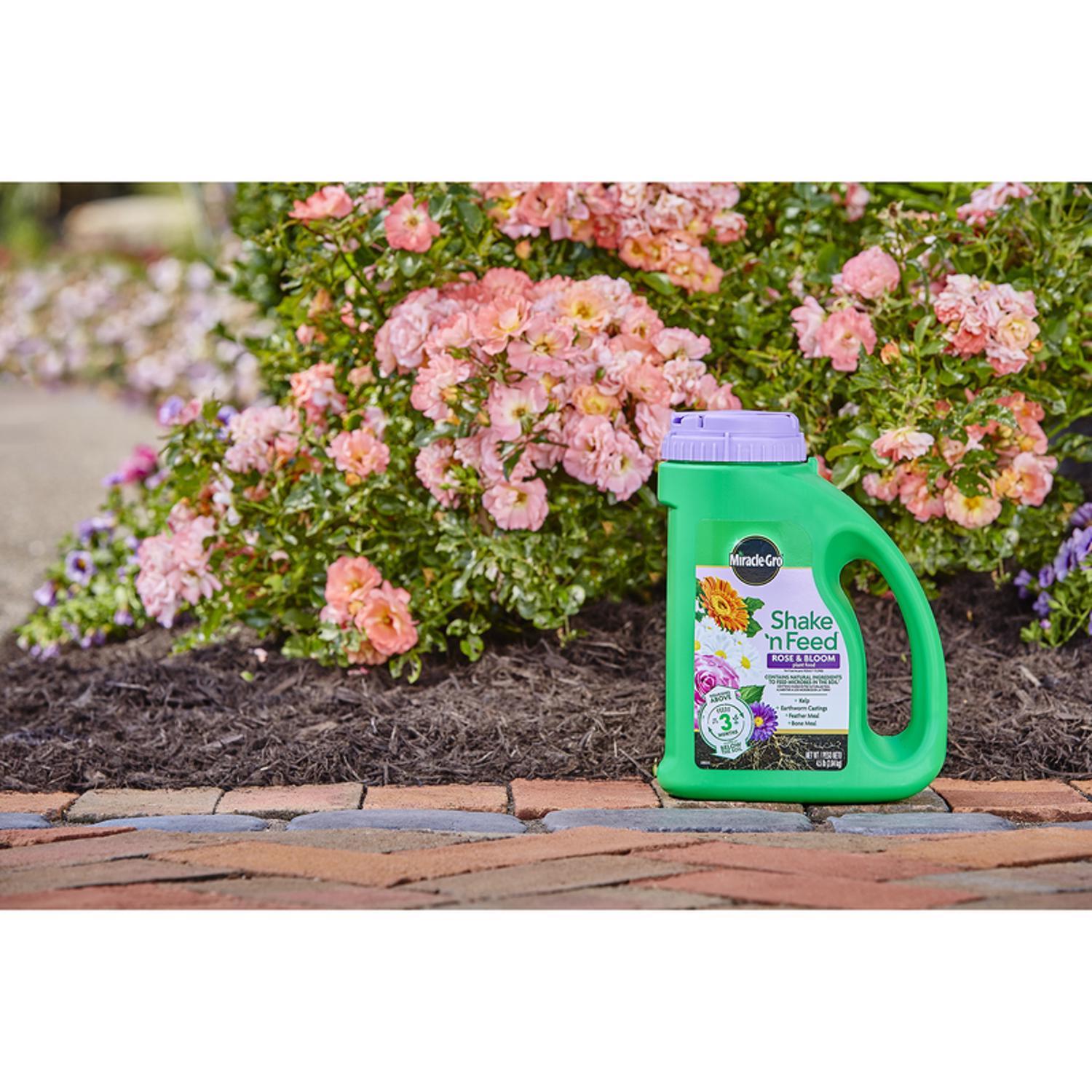 Miracle-Gro Shake 'n Feed Granules Plant Food 4.5 lb