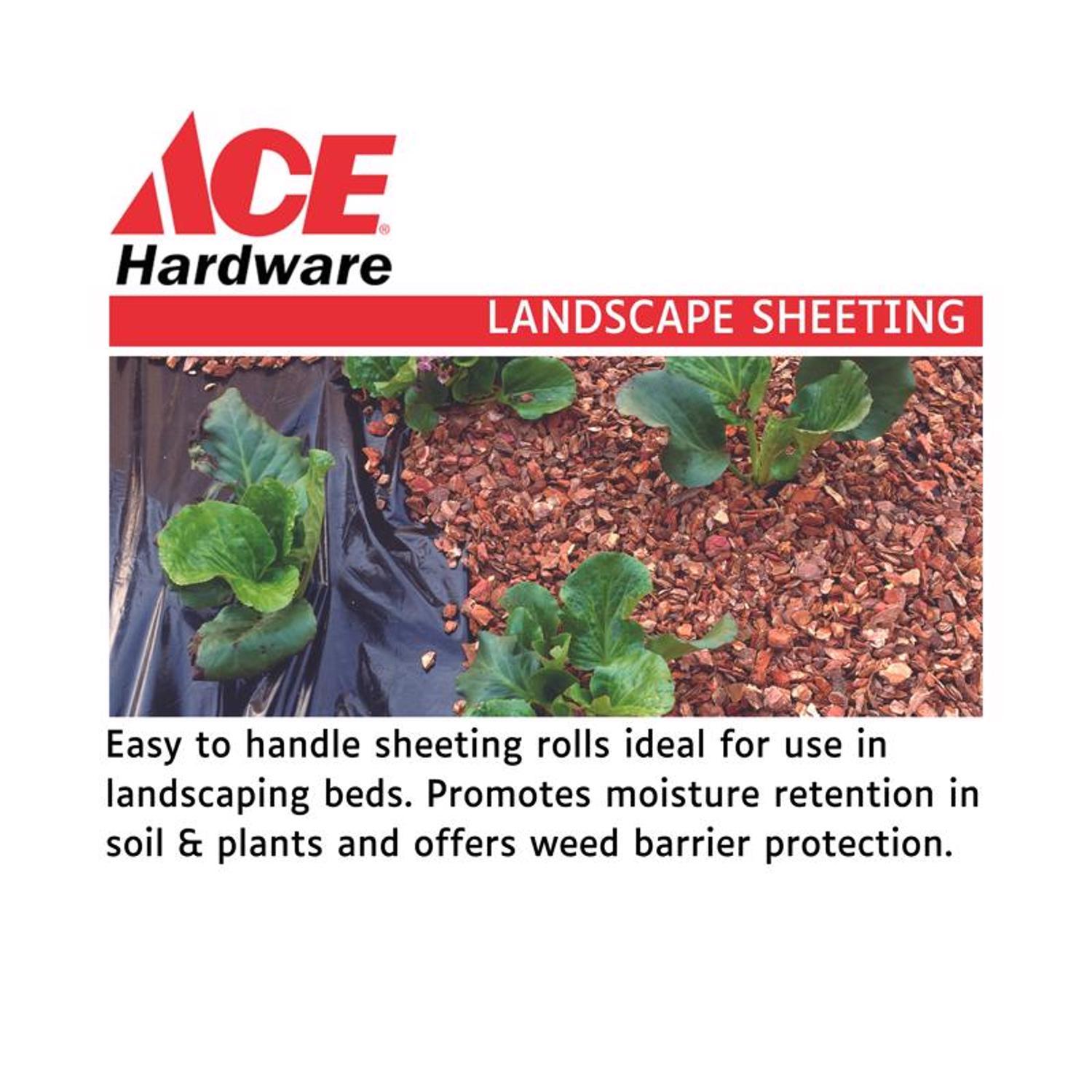 Ace Plastic Sheeting 4 mil X 10 ft. W X 25 ft. L Polyethylene Black 1 pk