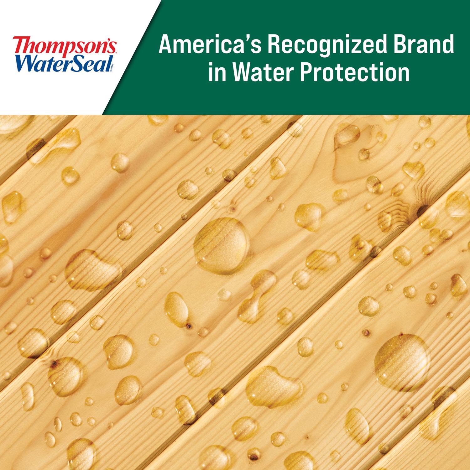 Thompson's WaterSeal Clear Wood Sealer Clear Fully-Transparent Oil-Based Wood Sealant 6 gal