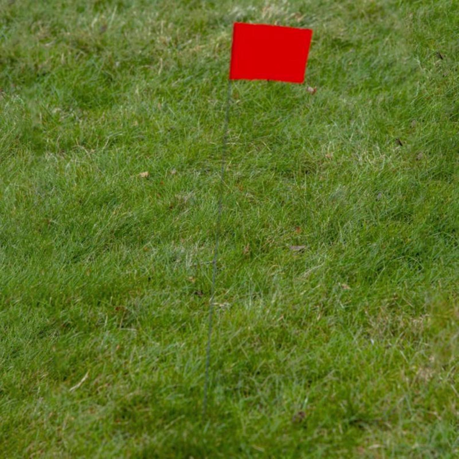 C.H. Hanson 21 in. Fluorescent Red Marking Flags Polyvinyl 100 pk