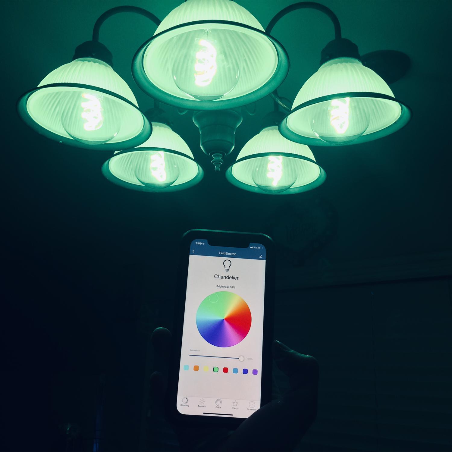 Feit Smart Home G30 E26 (Medium) Smart-Enabled LED Bulb Color Changing 60 Watt Equivalence 1 pk