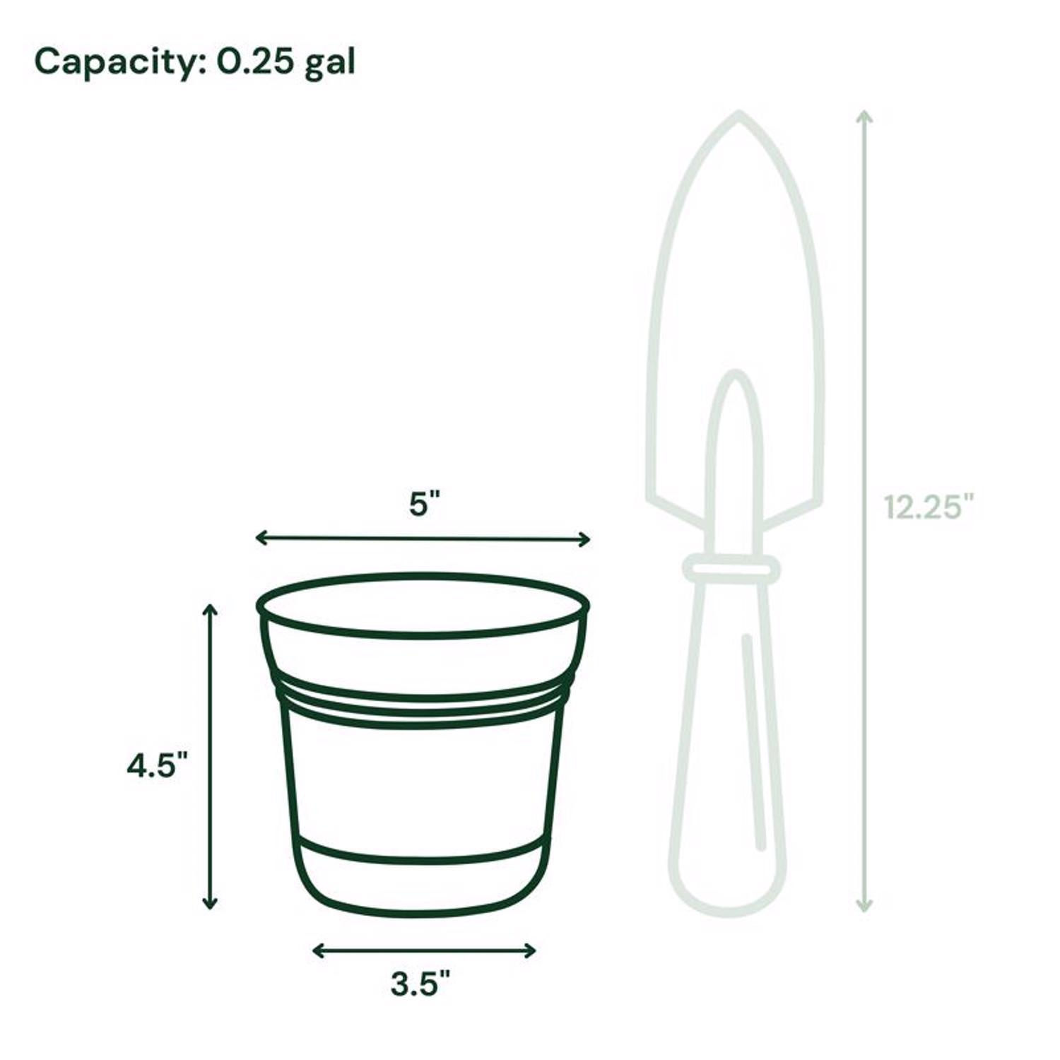 Bloem Saturn 4.5 in. H X 5 in. W Plastic Traditional Planter Burnt Red
