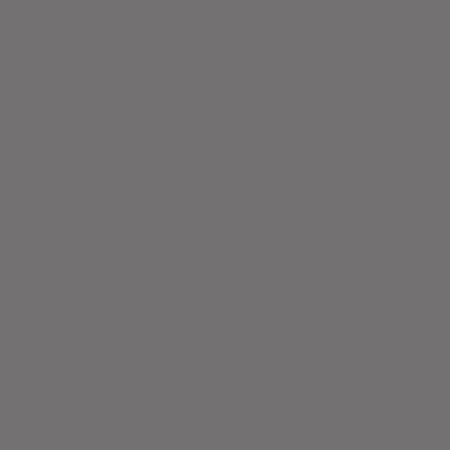 Rust-Oleum Stops Rust Flat Gray Automotive Primer Sealer Spray 12 oz