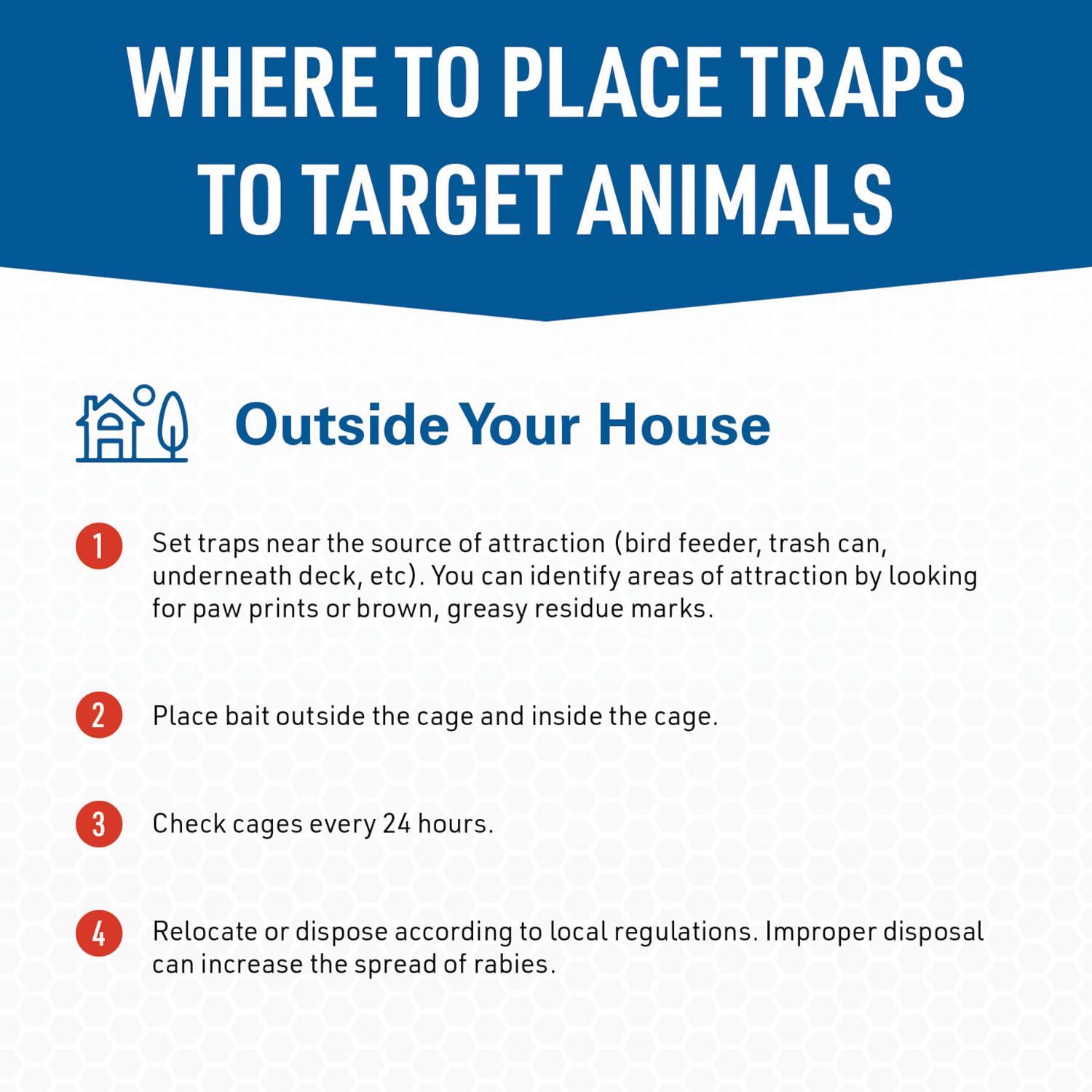 JT Eaton Answer Medium Live Catch Animal Trap For Skunks 1 pk