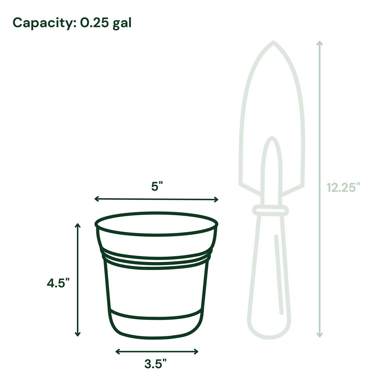 Bloem Saturn 4.5 in. H X 5 in. W Plastic Traditional Planter Charcoal