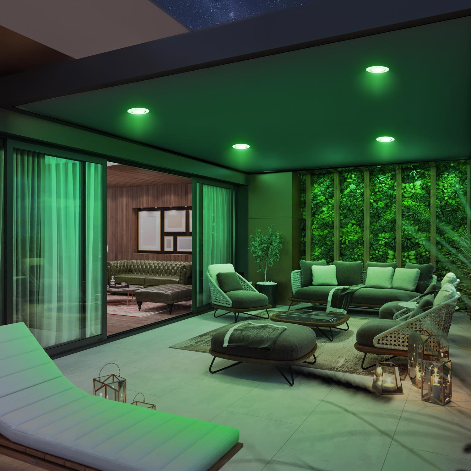 Feit PAR38 E26 (Medium) LED Bulb Green 120 Watt Equivalence 1 pk