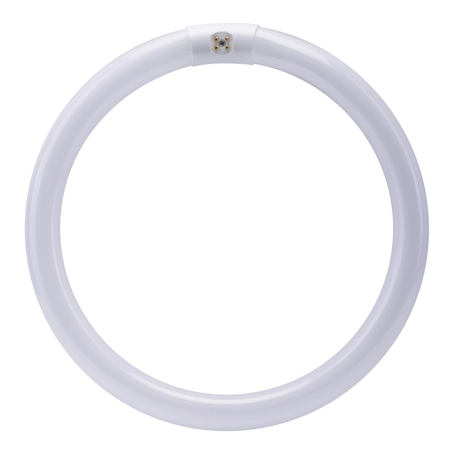 Feit 32 W T9 12 in. D X 11.9 in. L Circline Fluorescent Bulb Cool White Circular 4100 K 1 pk