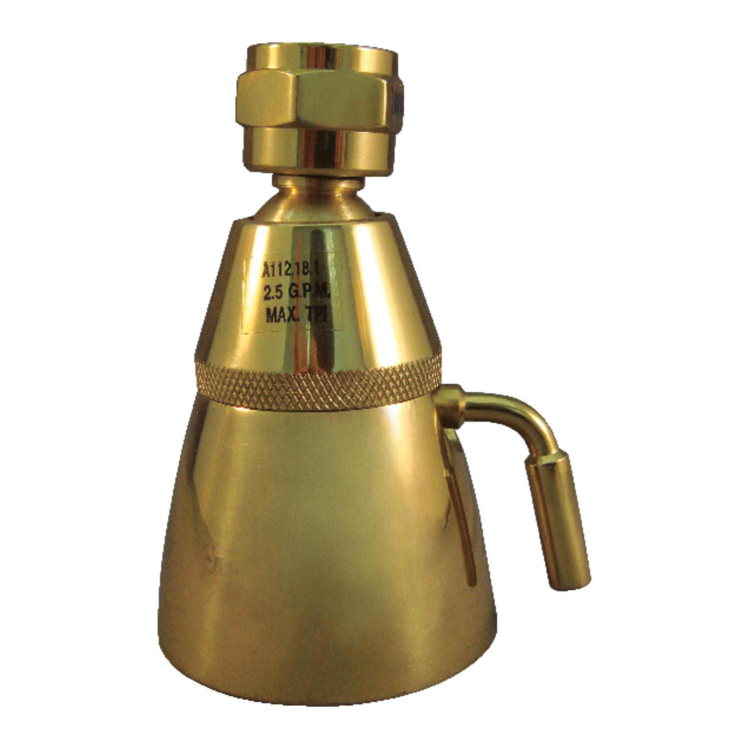 Ace Polished Brass 6 Settings Showerhead 2.5 Gpm