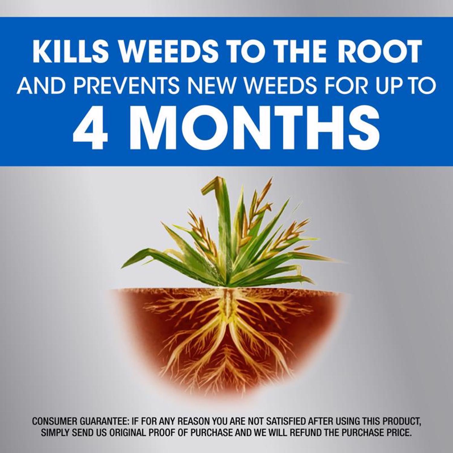 Roundup Dual Action Weed and Grass Killer RTU Liquid 1 gal
