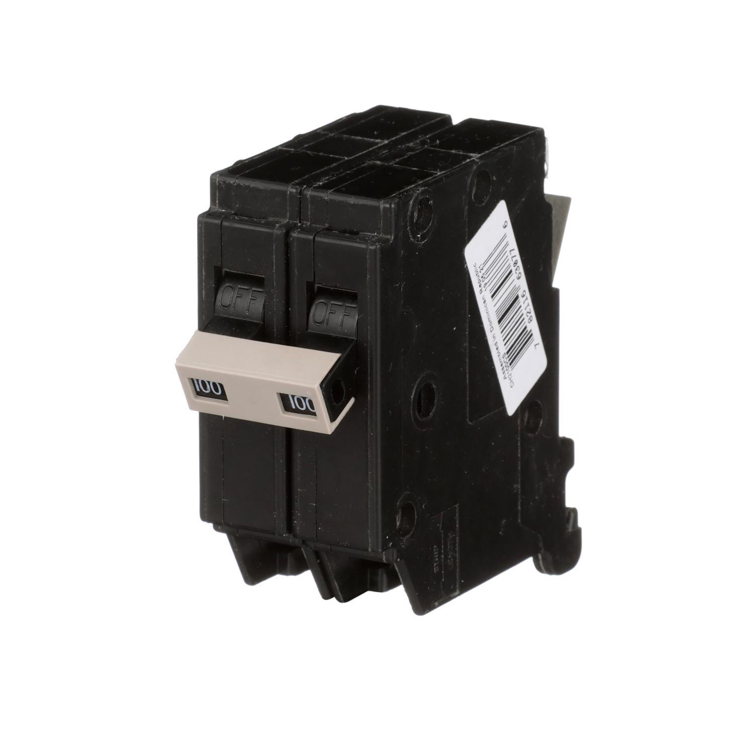 Eaton 100 amps Plug In 2-Pole Circuit Breaker