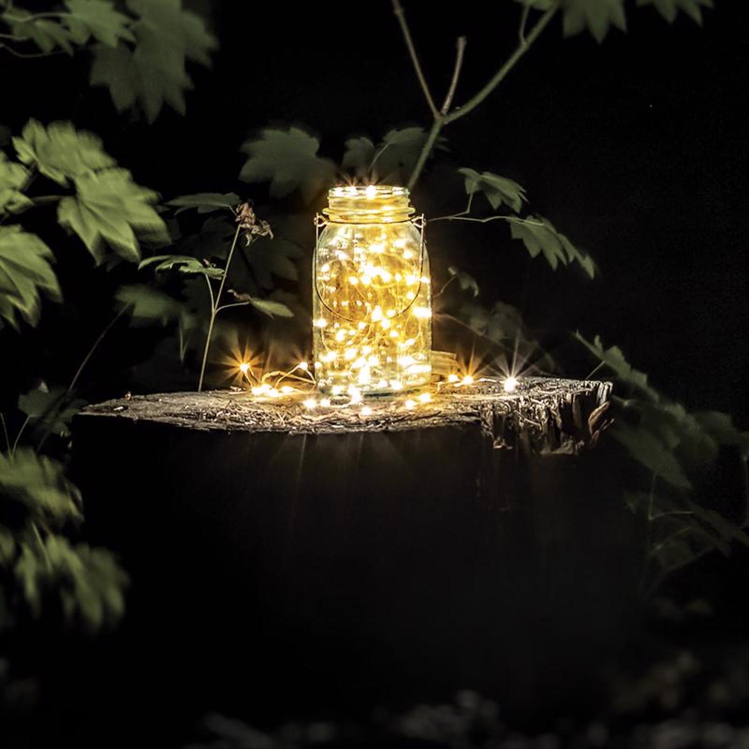 Feit LED Fairy String Lights Warm White 30 ft. 100 lights