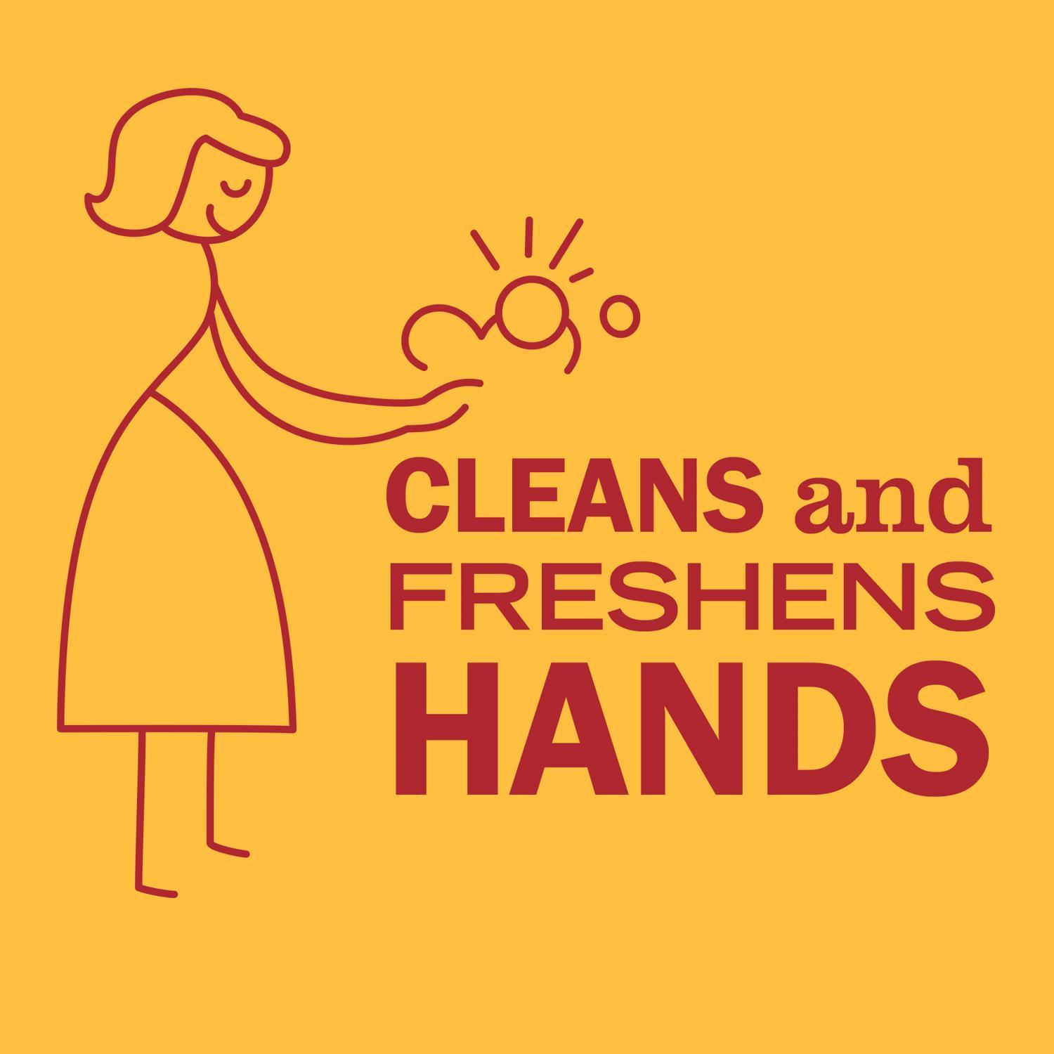 Mrs. Meyer's Clean Day Clementine Scent Hand Soap 12.5 fl. oz.