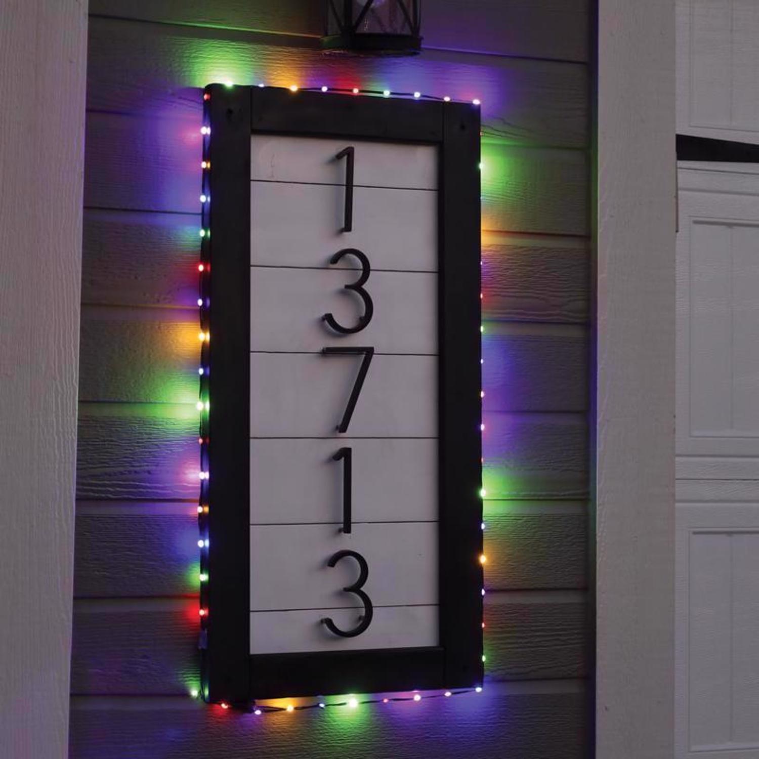 Celebrations LED Micro Dot/Fairy Multicolored/Warm White 100 ct String Christmas Lights 16.6 ft.