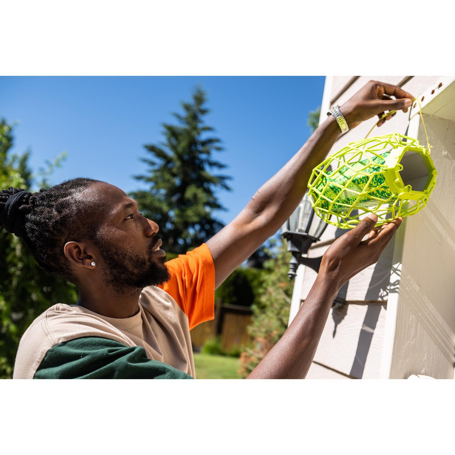 RESCUE! TrapStik Insect Trap 1 pk