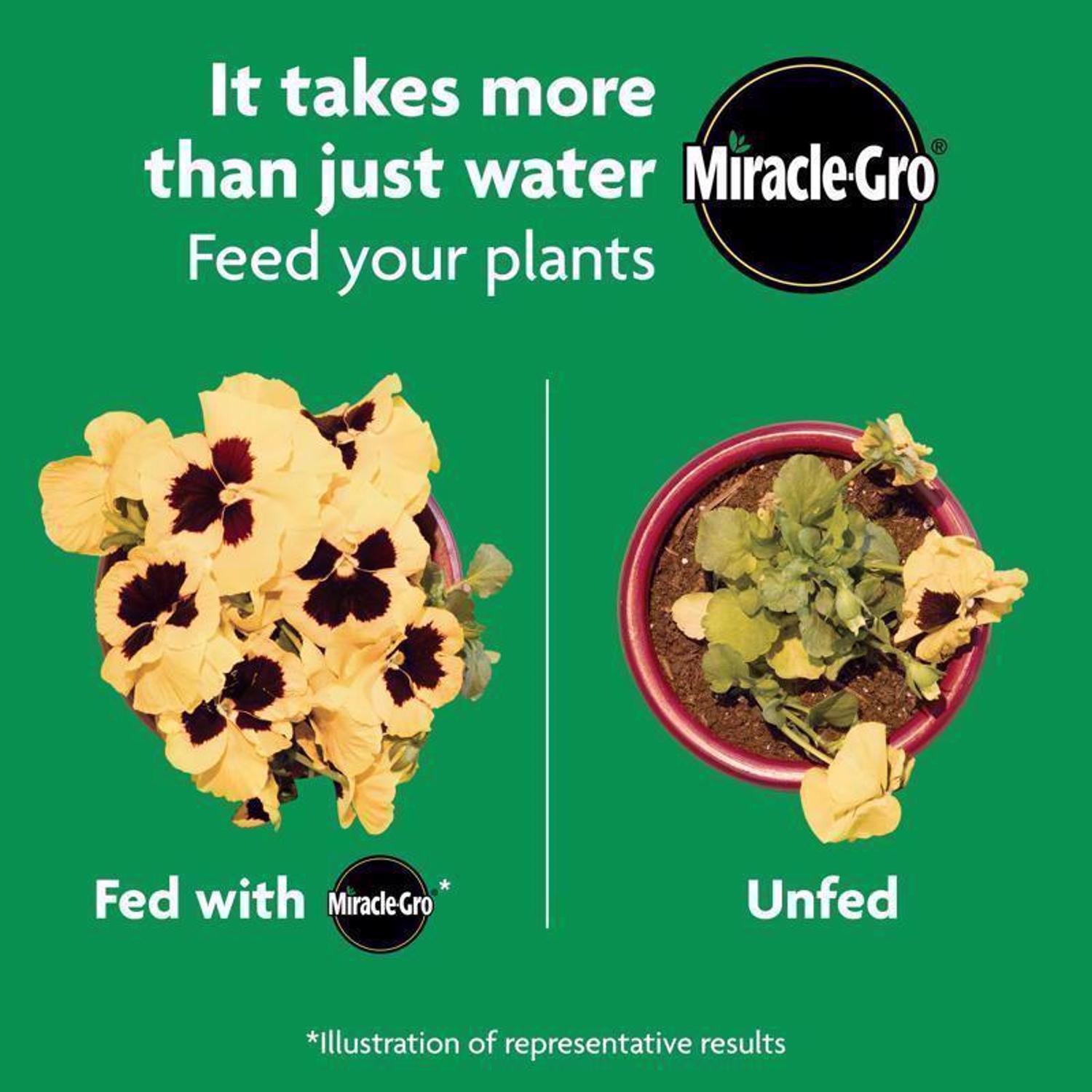 Miracle-Gro Shake 'n Feed Granules Plant Food 4.5 lb