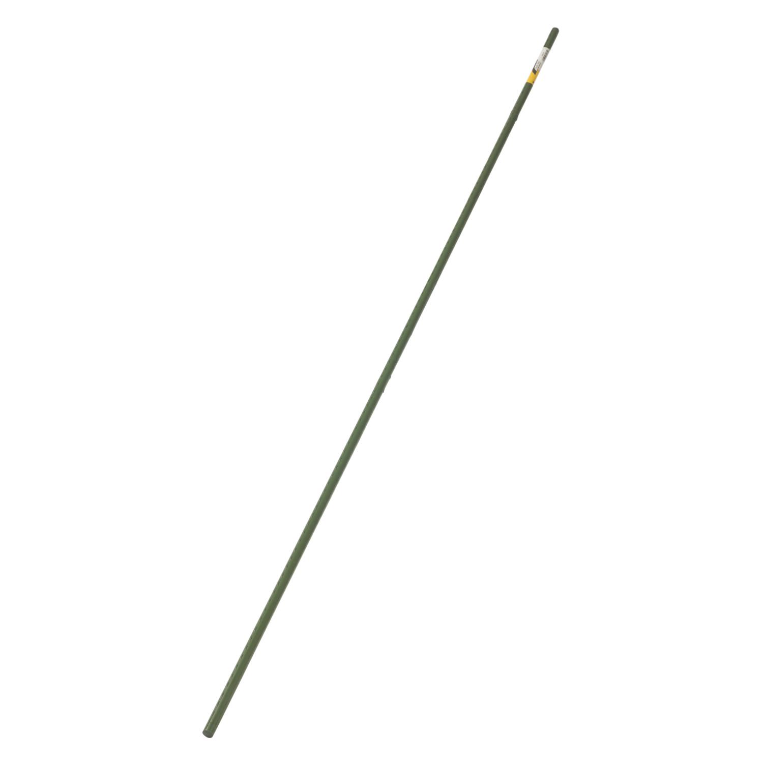 Gardener's Blue Ribbon 48 in. H X 5/16 in. W Green Steel Plant Stake