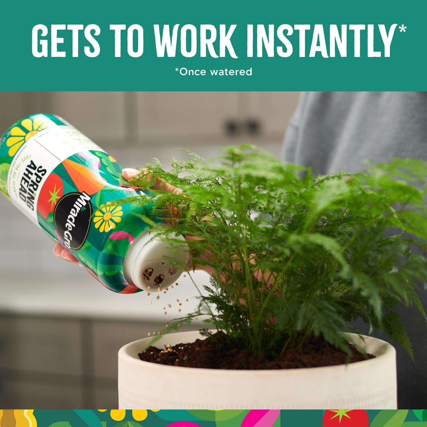 Miracle-Gro Spring Ahead Granules Plant Food 3 lb